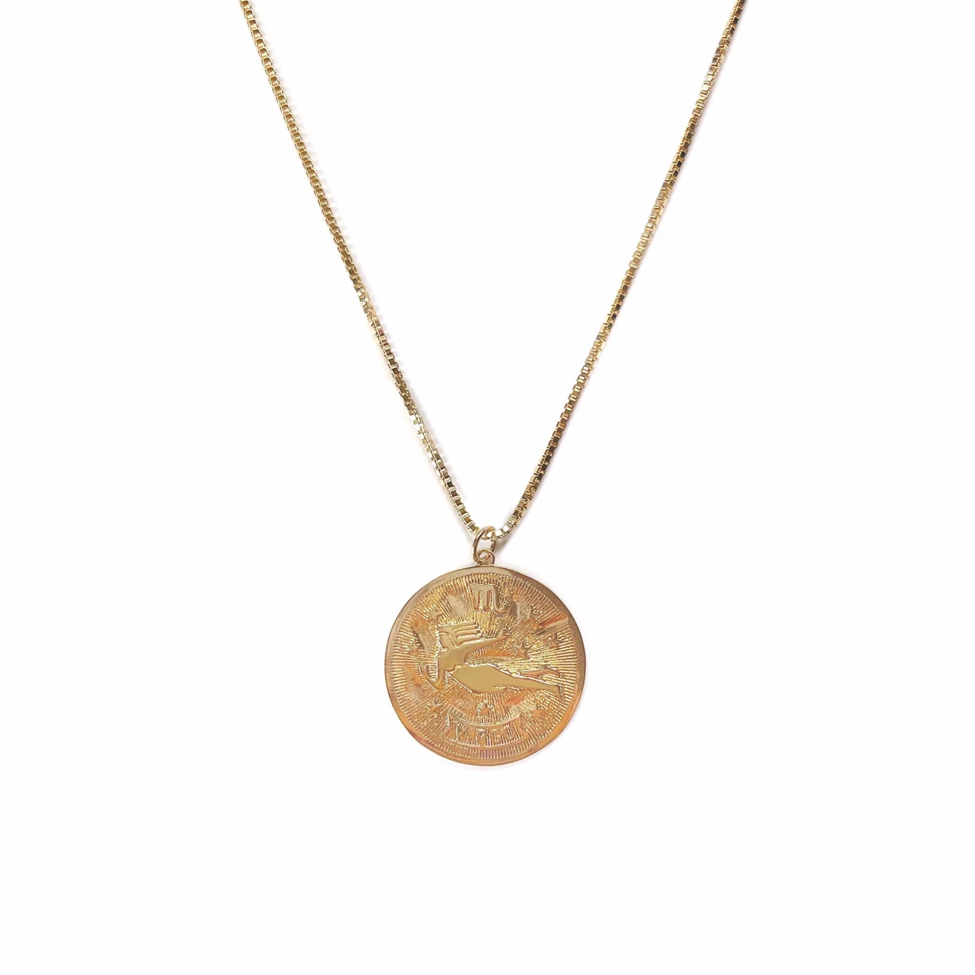 The Zodiac Medallion Necklace | Erin Fader